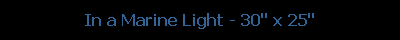 In a Marine Light - 30